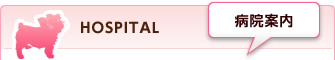 病院案内
