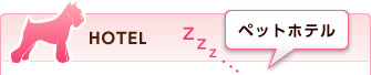 ペットホテル