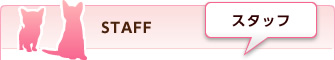スタッフ