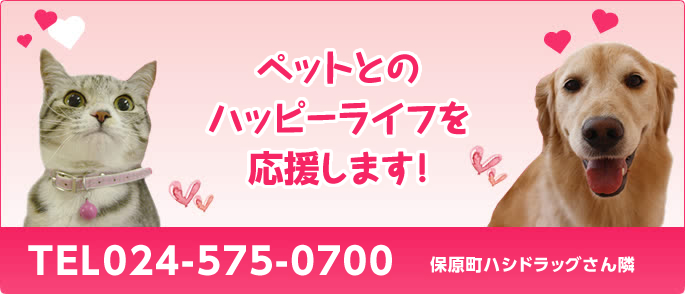 ペットとのハッピーライフを応援します! 夜8時まで診察(受付7:30まで) 日曜・祝日も診察